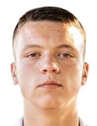 杰南·佩奇诺维奇