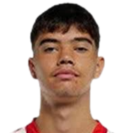 米尔扎·卡托维奇